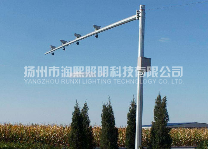 交通蘑菇视频下载免费观看