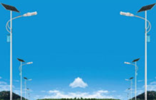 蘑菇视频下载免费观看