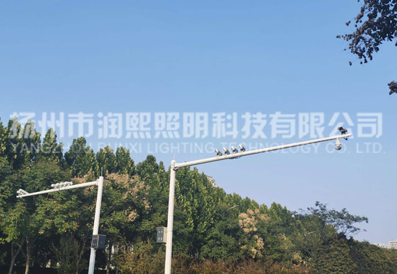 蘑菇视频下载免费观看