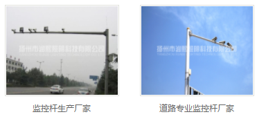 蘑菇视频下载免费观看